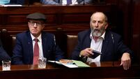 Healy-Rae brothers on course to keep their seats, according to TG4 constituency poll 